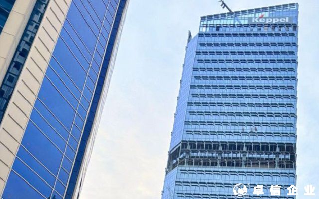 新加坡公司董事和股東為同一人有什么要求
