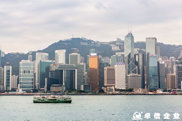 深度剖析：香港專才計劃適配人群